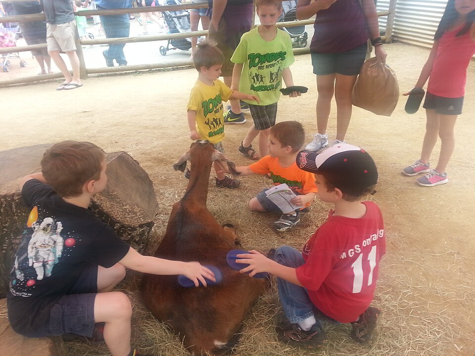 Kinderboerderij Agathahoeve